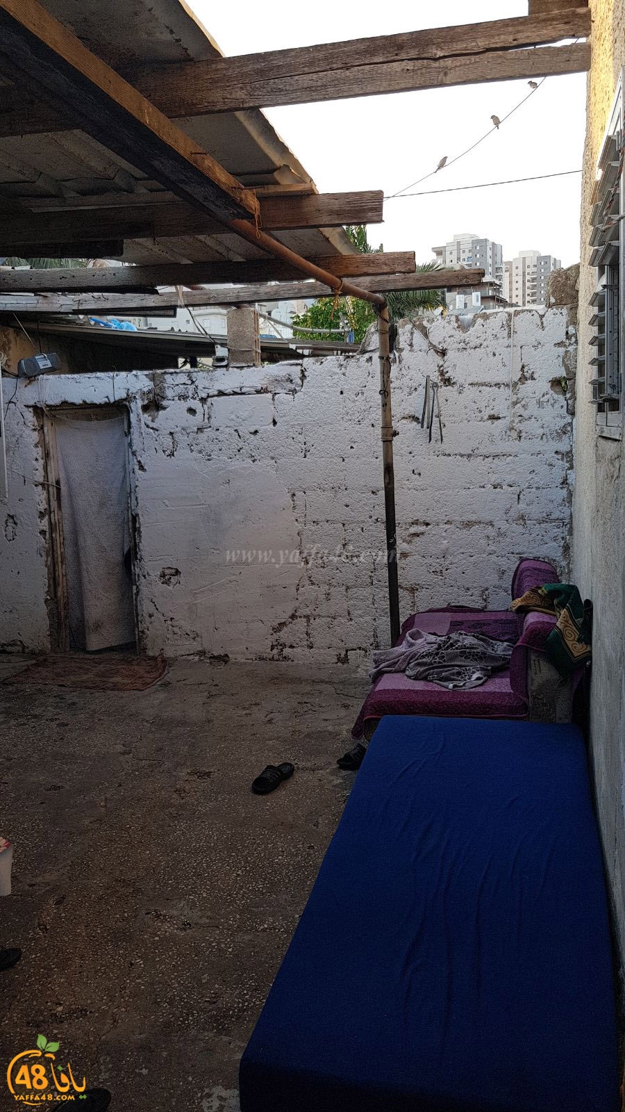 3ajo ramla house (8).jpg